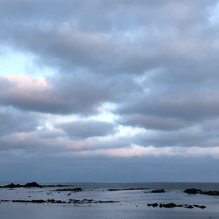 メグメグさんの投稿 鵜ノ崎海岸 ことりっぷ