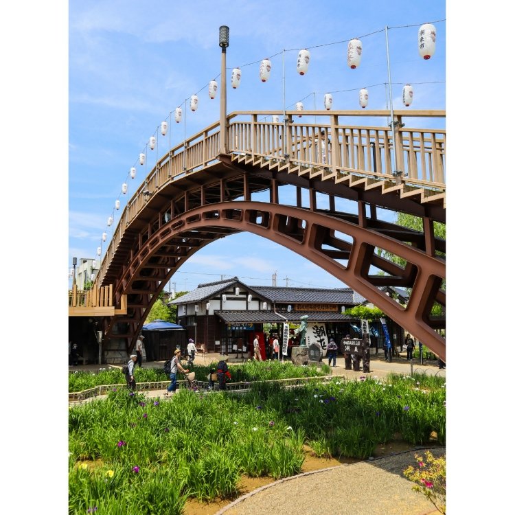 ぶらでぃ ぽさんの投稿 水郷潮来あやめ園 ことりっぷ