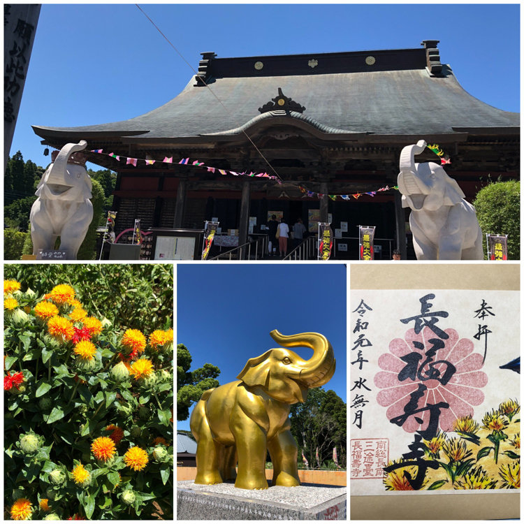 たお母さんの投稿 長福寿寺 ことりっぷ