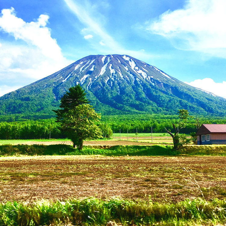 パウダーベアさんの投稿 羊蹄山 ことりっぷ