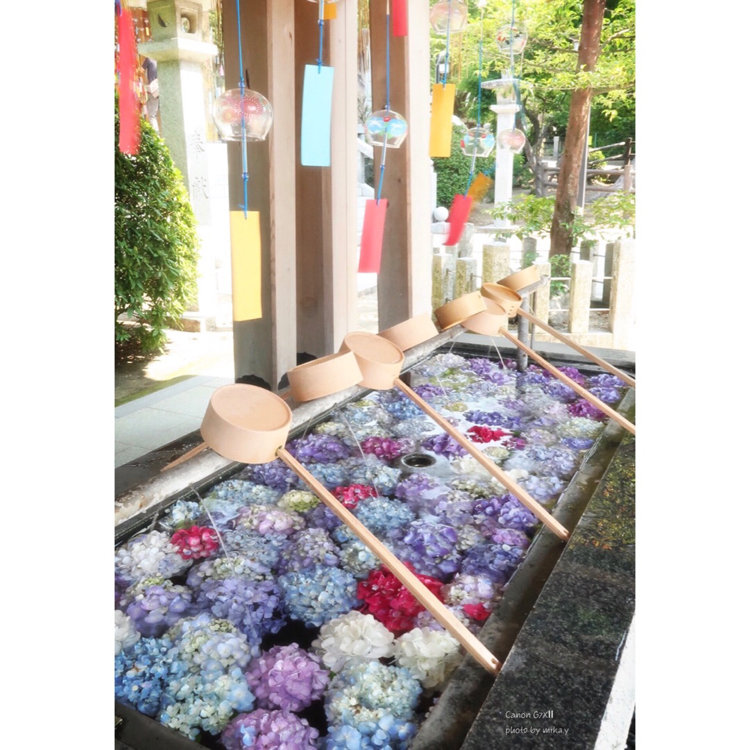 福岡 春日 神社