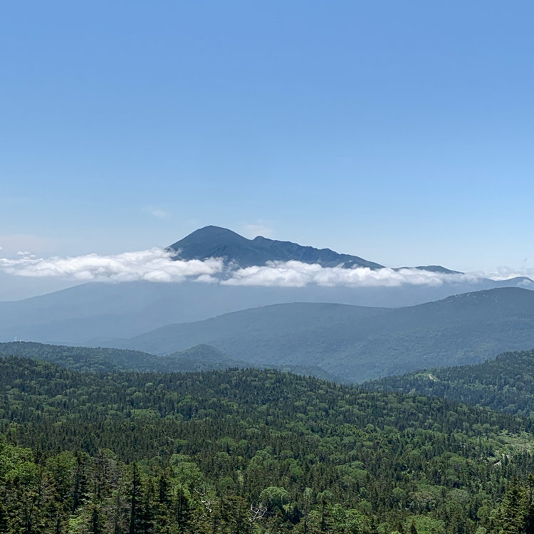 すえぞうさんの投稿 八幡平山頂レストハウス ことりっぷ