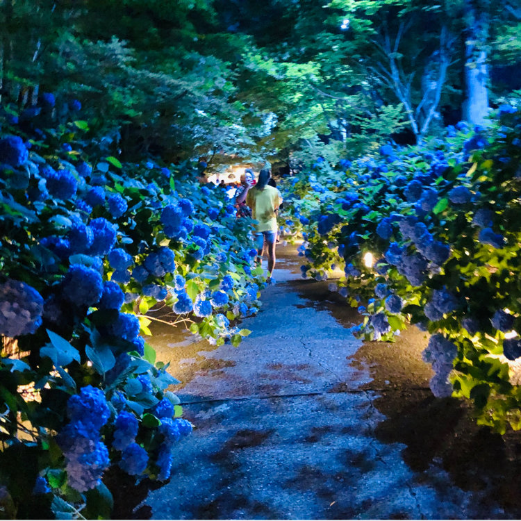 Makotoさんの投稿 北浦雲昌寺 ことりっぷ