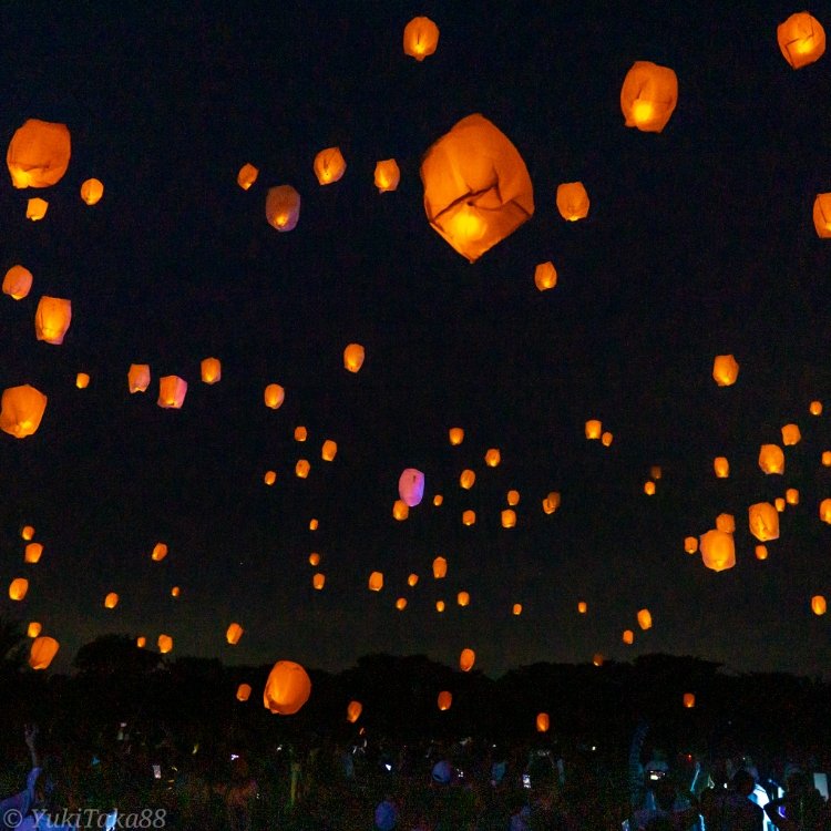 ゆきたかさんの投稿 吉田公園 ことりっぷ