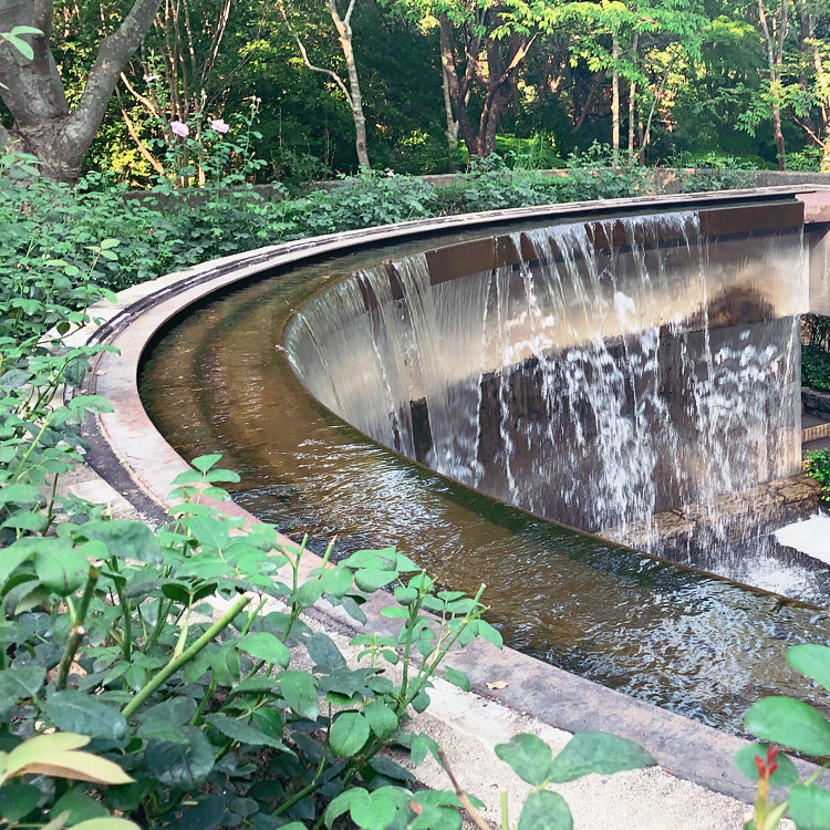 あろさんの投稿 水戸市植物公園 ことりっぷ