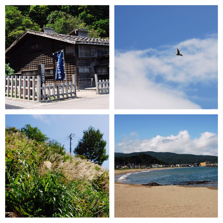 もりゅうじゃーさんの投稿 浜中モイレ海水浴場 ことりっぷ