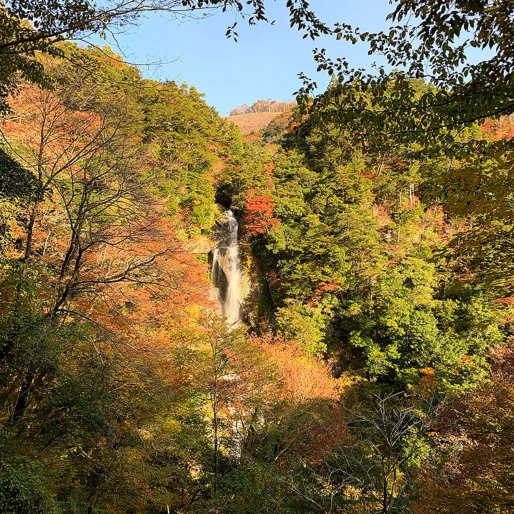 Inachanさんの投稿 せんだん轟の滝 ことりっぷ