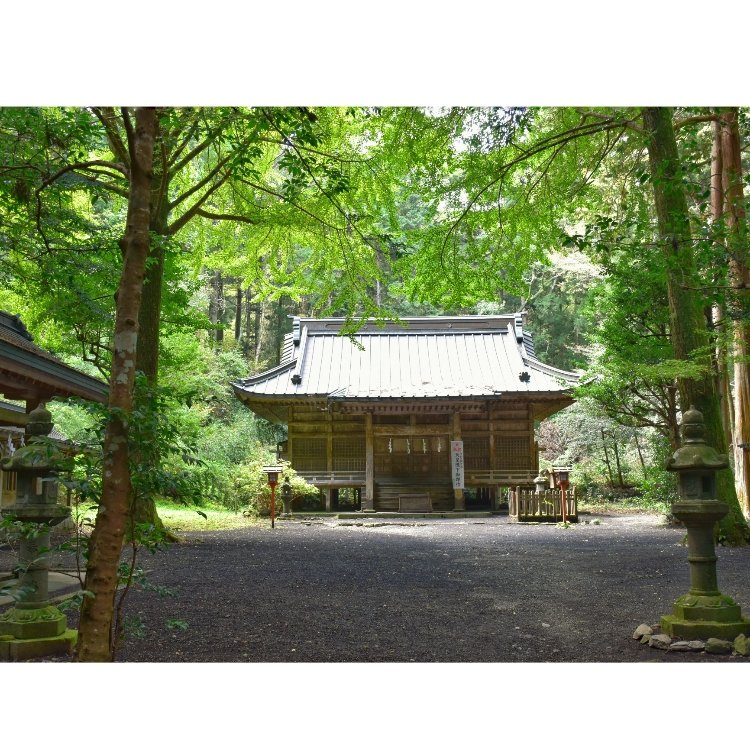 Malteseさんの投稿 二岡神社 ことりっぷ