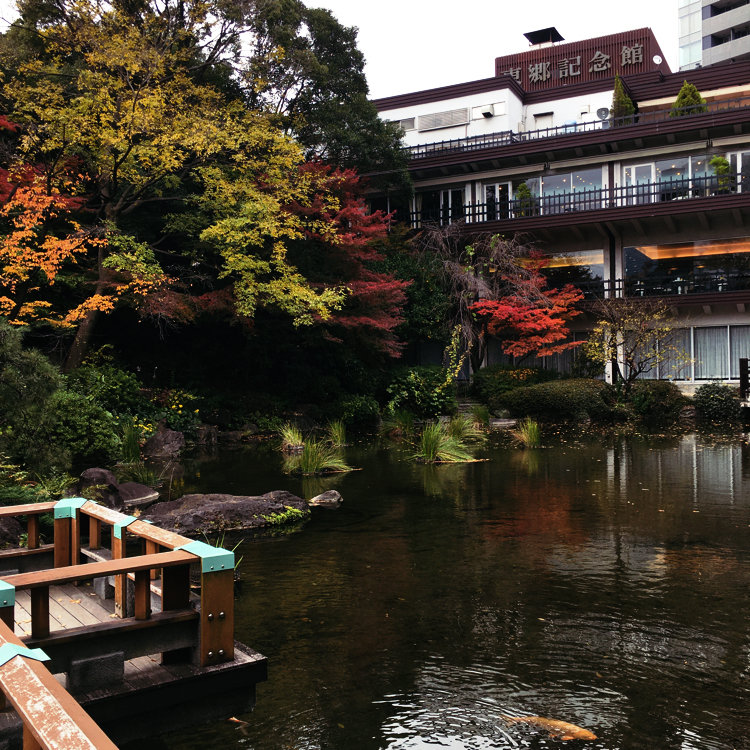 神社 東郷 東郷神社との御縁