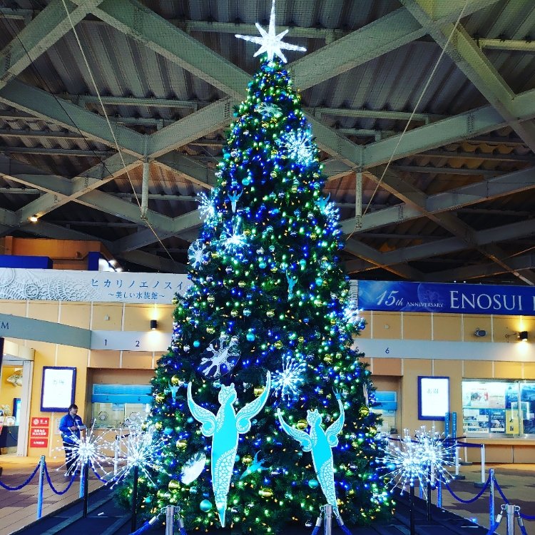 ふらっとクリスさんの投稿 新江ノ島水族館 ことりっぷ