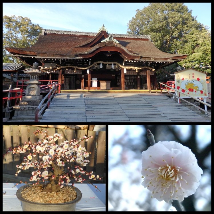 天満宮 道明寺