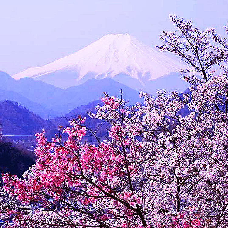 コ チャンさんの投稿 岩殿山 ことりっぷ