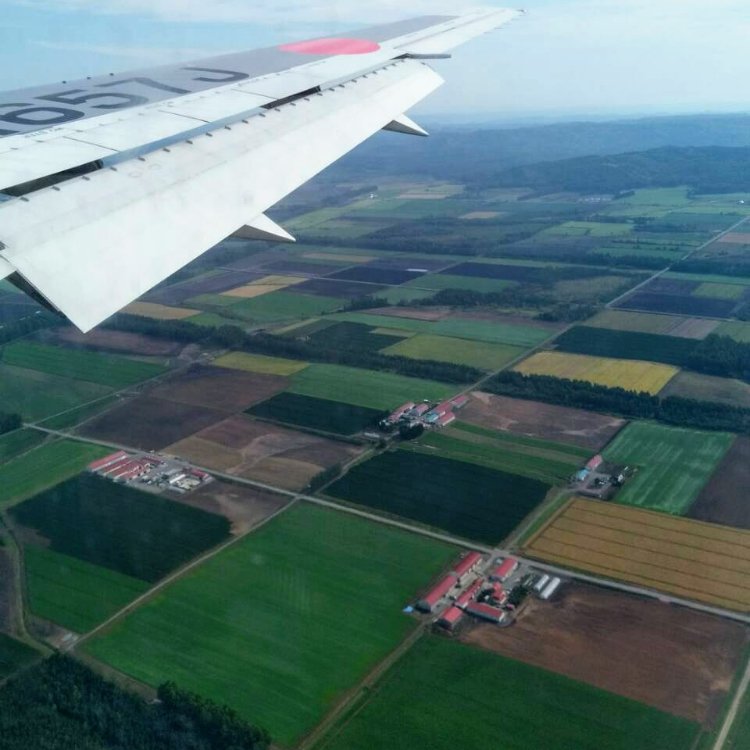 こむぎさんの投稿 とかち帯広空港 ことりっぷ