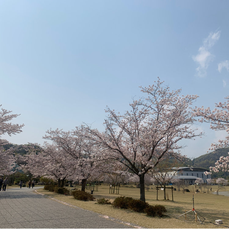 わｯきんさんの投稿 竹原市総合公園バンブー ジョイ ハイランド ことりっぷ