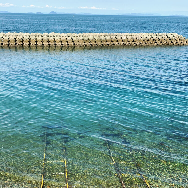 けいさんの投稿 青石海岸 ことりっぷ