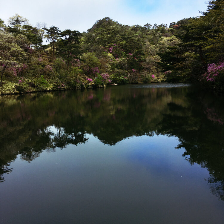 摩耶自然観察園