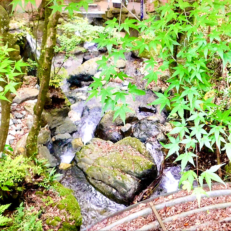 パウダーベアさんの投稿 祖聖大寺 ことりっぷ