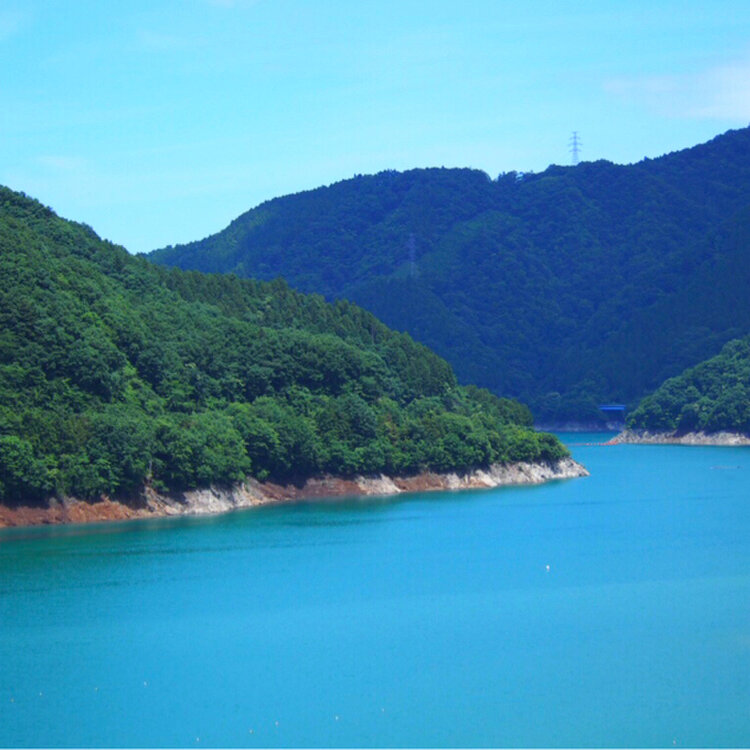 よつばさんの投稿 虹の大橋 ことりっぷ