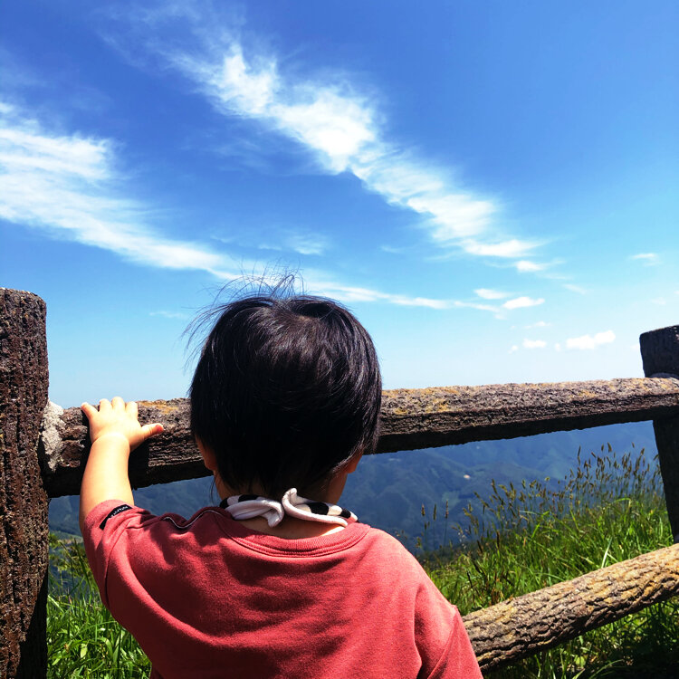 ぴすけさんの投稿 四国カルスト 愛媛県 ことりっぷ