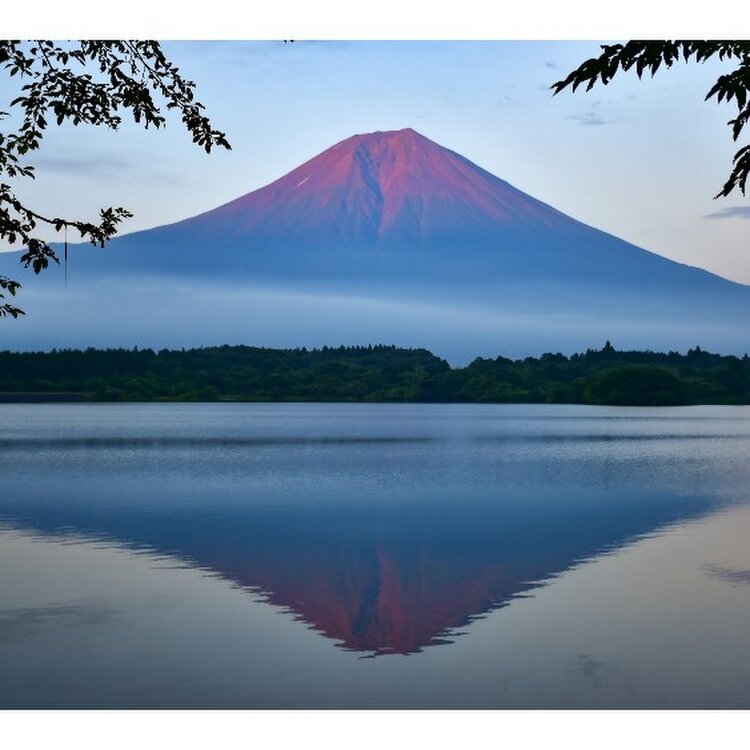 日本の夏景色 写真投稿コンテスト ことりっぷ