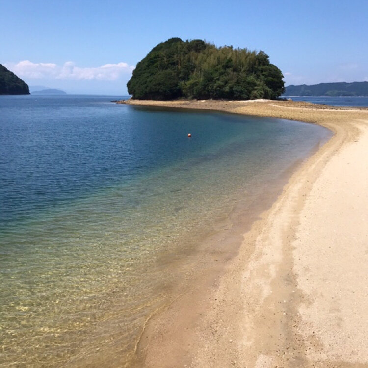 まるこさんの投稿 真宮島 ことりっぷ