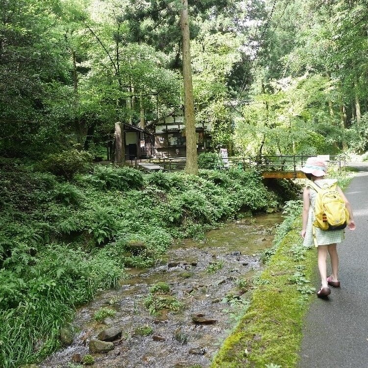 銀山 石見