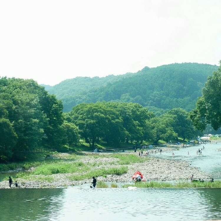 Tropical Bearさんの投稿 鹿台堰 ことりっぷ