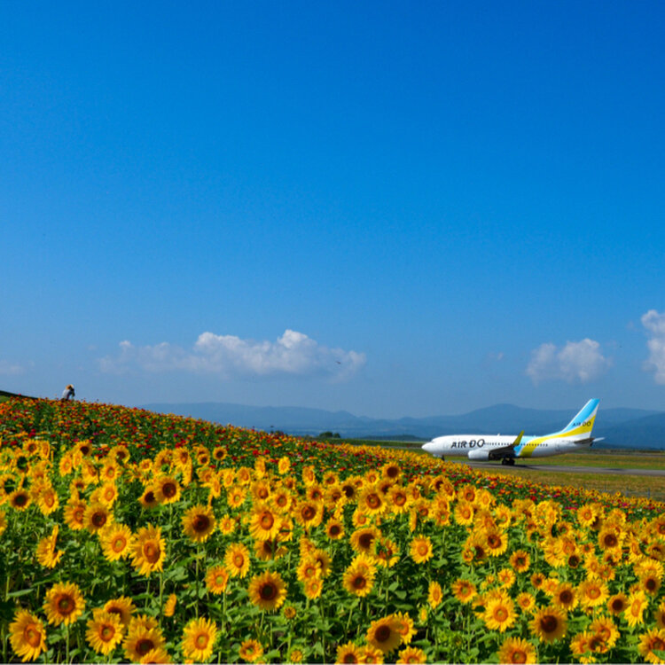 Kokohana76 さんの投稿 旭川空港 ことりっぷ