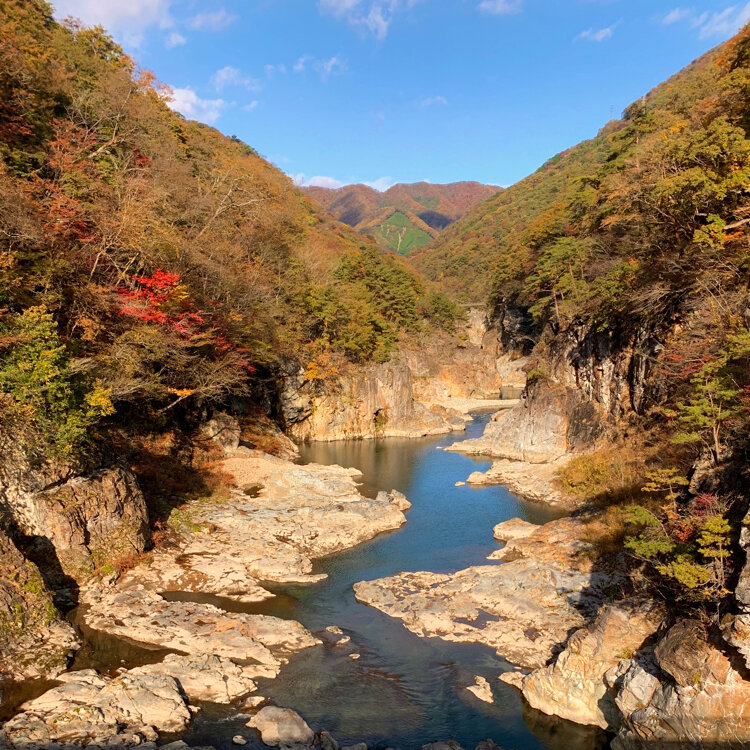 コ チャンさんの投稿 龍王峡の紅葉 ことりっぷ