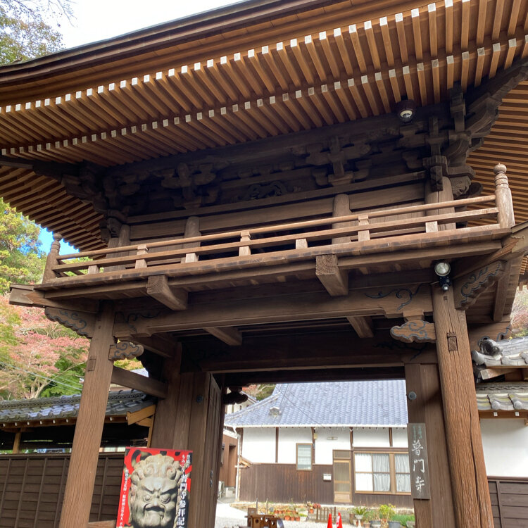 なるちゃん さんの投稿 豊橋普門寺 ことりっぷ