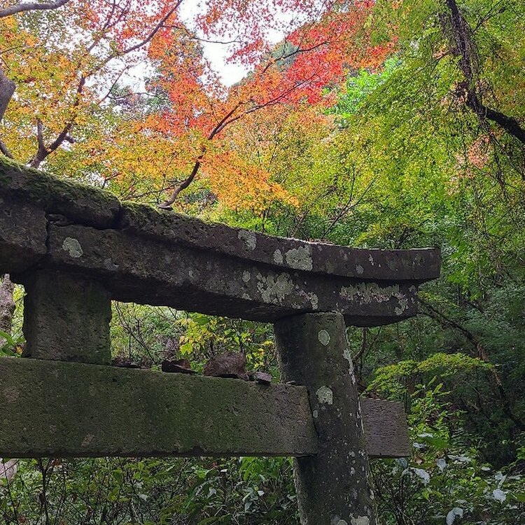 Asuさんの投稿 白馬渓 ことりっぷ