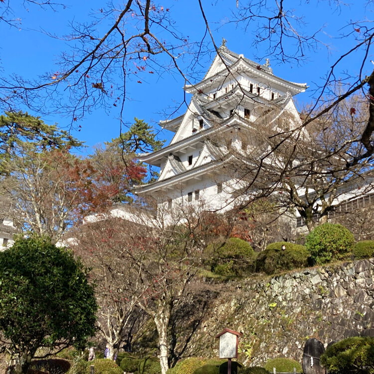 まみたんさんの投稿 郡上八幡城 ことりっぷ