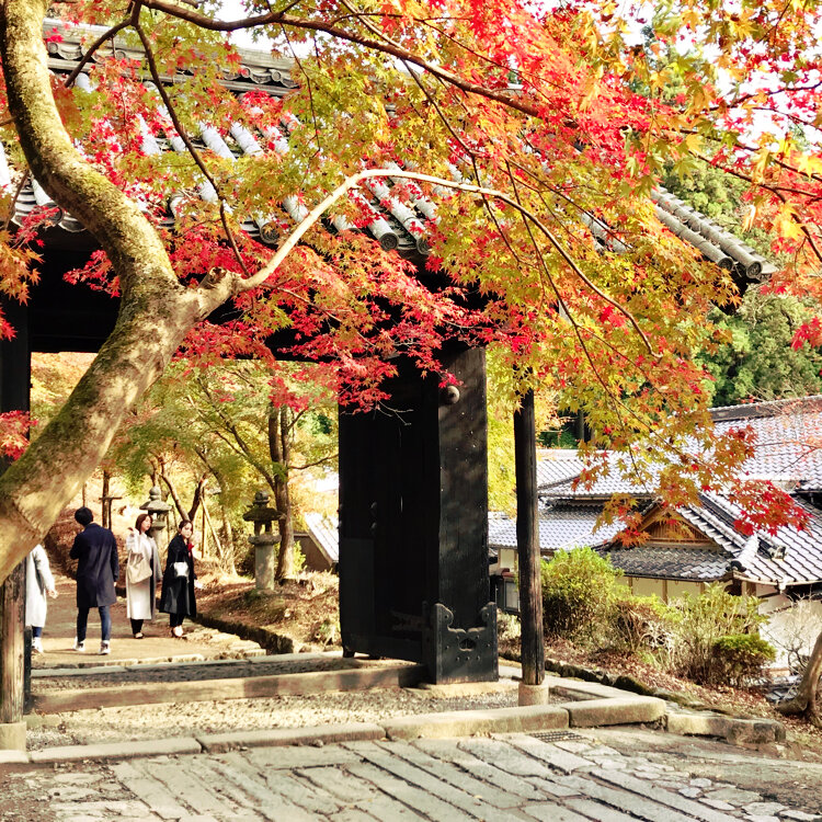 筑前の小京都で紅葉さんぽからフルーツまで 福岡県秋月で訪れたい名所 グルメスポット6選 ことりっぷ