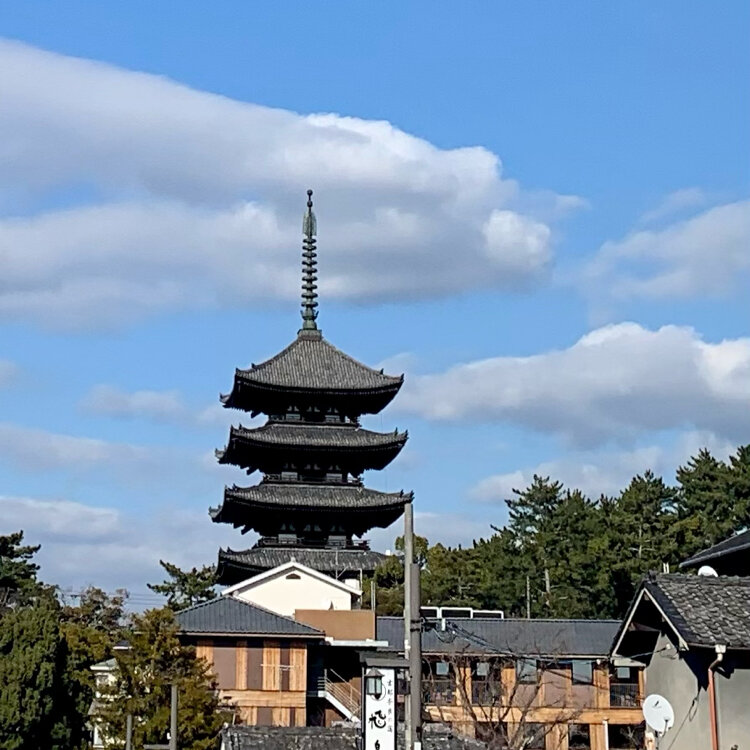 Roseさんの投稿 興福寺五重塔 ことりっぷ