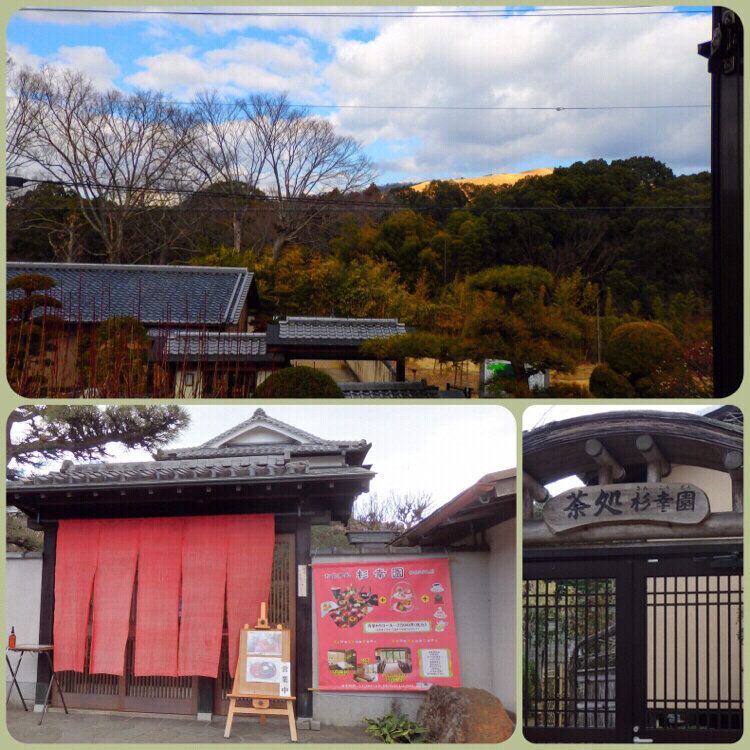 ゆっきさんの投稿 杉幸園 ことりっぷ