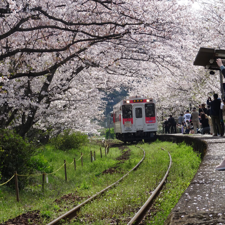 Kentaka 癒されたいさんの投稿 浦ノ崎駅 ことりっぷ