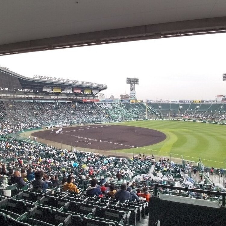 浅野 うめきちさんの投稿 阪神甲子園球場 ことりっぷ