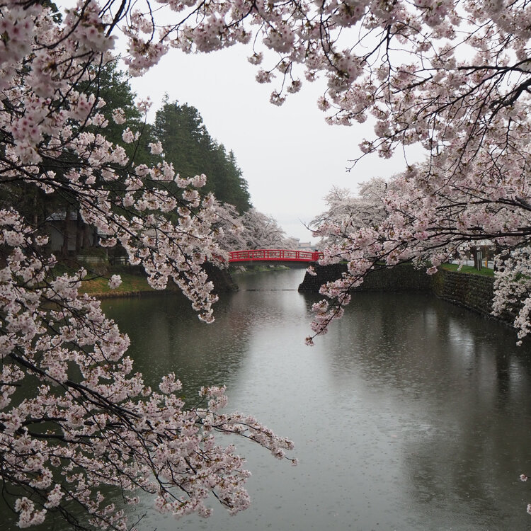 Ayuさんの投稿 松が岬公園 ことりっぷ