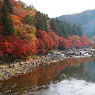 足助のおすすめ観光 旅行 週末おでかけ情報 125件 ことりっぷ編集部おすすめ