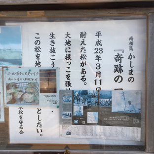 相馬 松川浦のおすすめイベント情報 2件 ことりっぷ編集部おすすめ