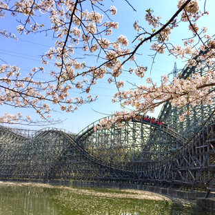 東武動物公園 ことりっぷ厳選 おでかけ 観光情報