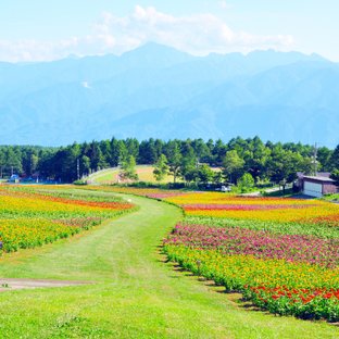 富士見高原 原村のおすすめ観光 旅行 週末おでかけ情報 87件 ことりっぷ編集部おすすめ