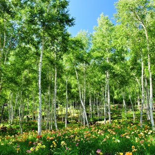 富士見高原 原村のおすすめ観光 旅行 週末おでかけ情報 87件 ことりっぷ編集部おすすめ