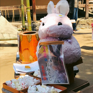 宇治上神社の旅 おでかけ情報 16件 ことりっぷ編集部おすすめ