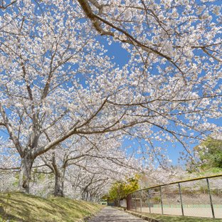 掛川市の旅 おでかけ情報 34件 ことりっぷ編集部おすすめ