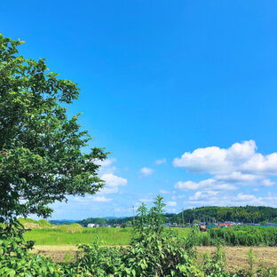 田園風景の旅 おでかけ情報 1件 ことりっぷ編集部おすすめ