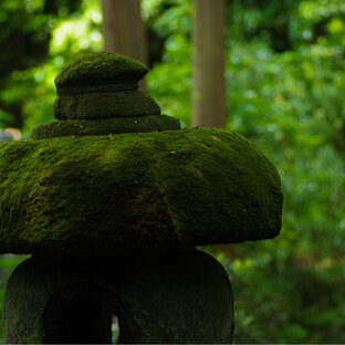 苔寺の旅 おでかけ情報 41件 ことりっぷ編集部おすすめ