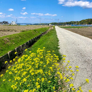 田舎の風景の旅 おでかけ情報 270件 ことりっぷ編集部おすすめ