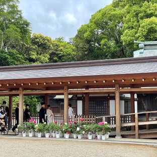 Tropical Bearさんの投稿 川越氷川神社 ことりっぷ