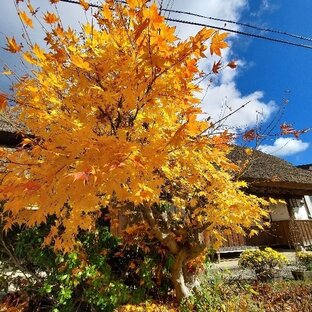 大内宿の旅 おでかけ情報 101件 ことりっぷ編集部おすすめ